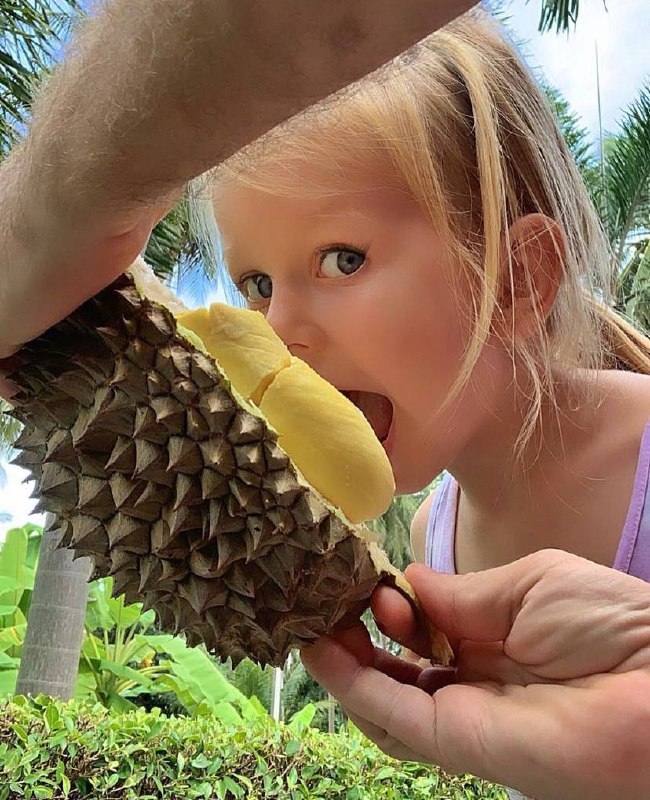 Дуриан и алкоголь: опасное сочетание