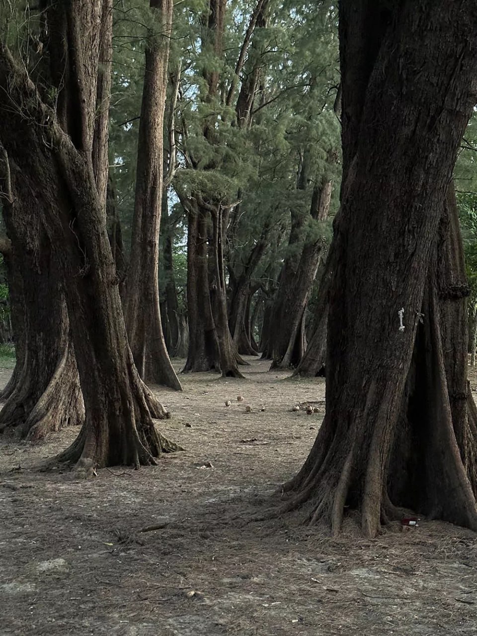 Парк Сиринат на Пхукете