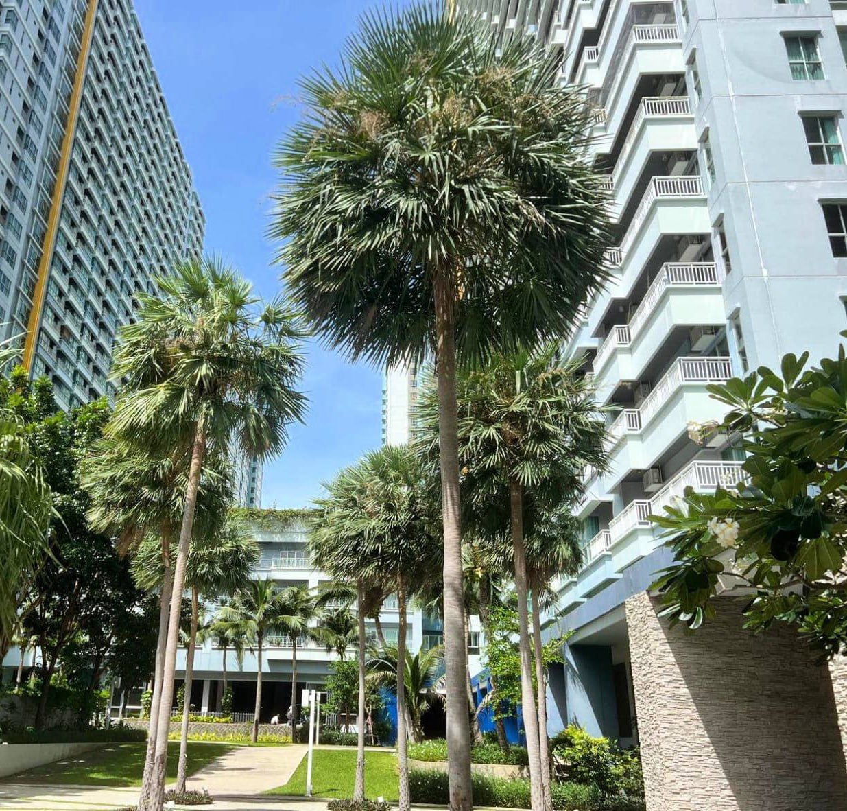 Студия у моря в Паттайе