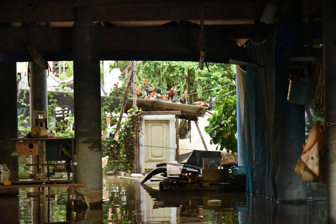 Масштабные наводнения в Таиланде