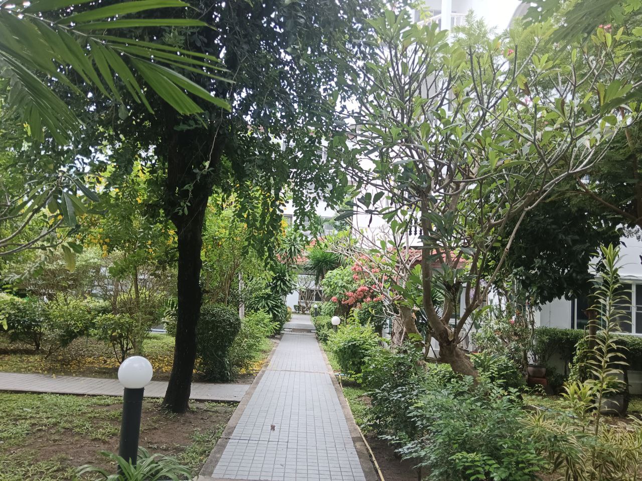 Сдача уютной студии в Паттайе