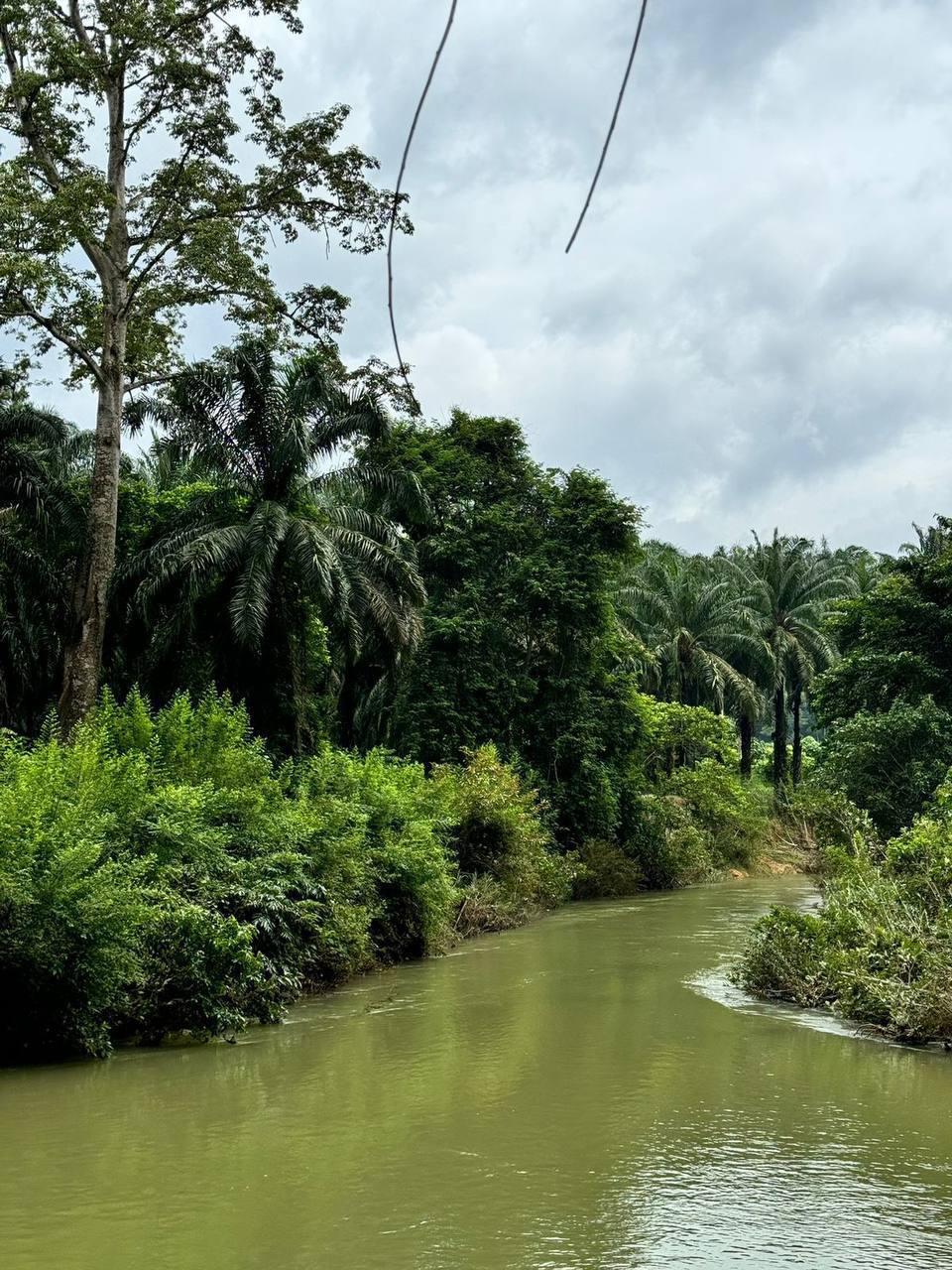Экскурсия на озеро Чео Лан