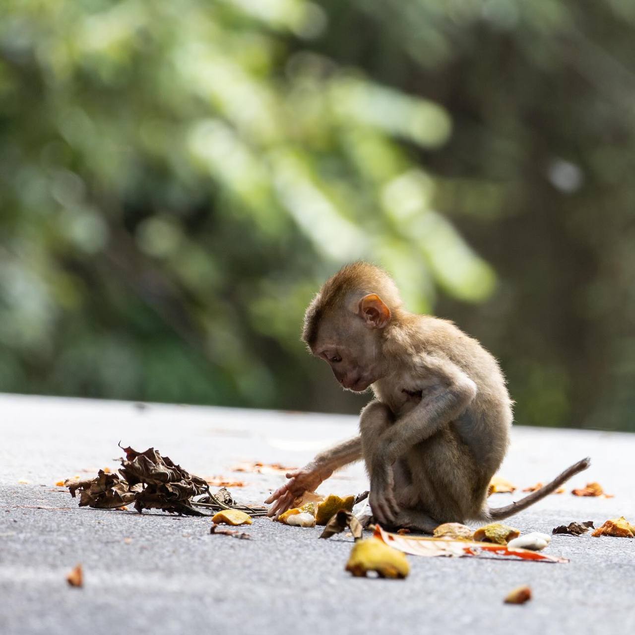 Путешествие в национальный парк Кхао Яй