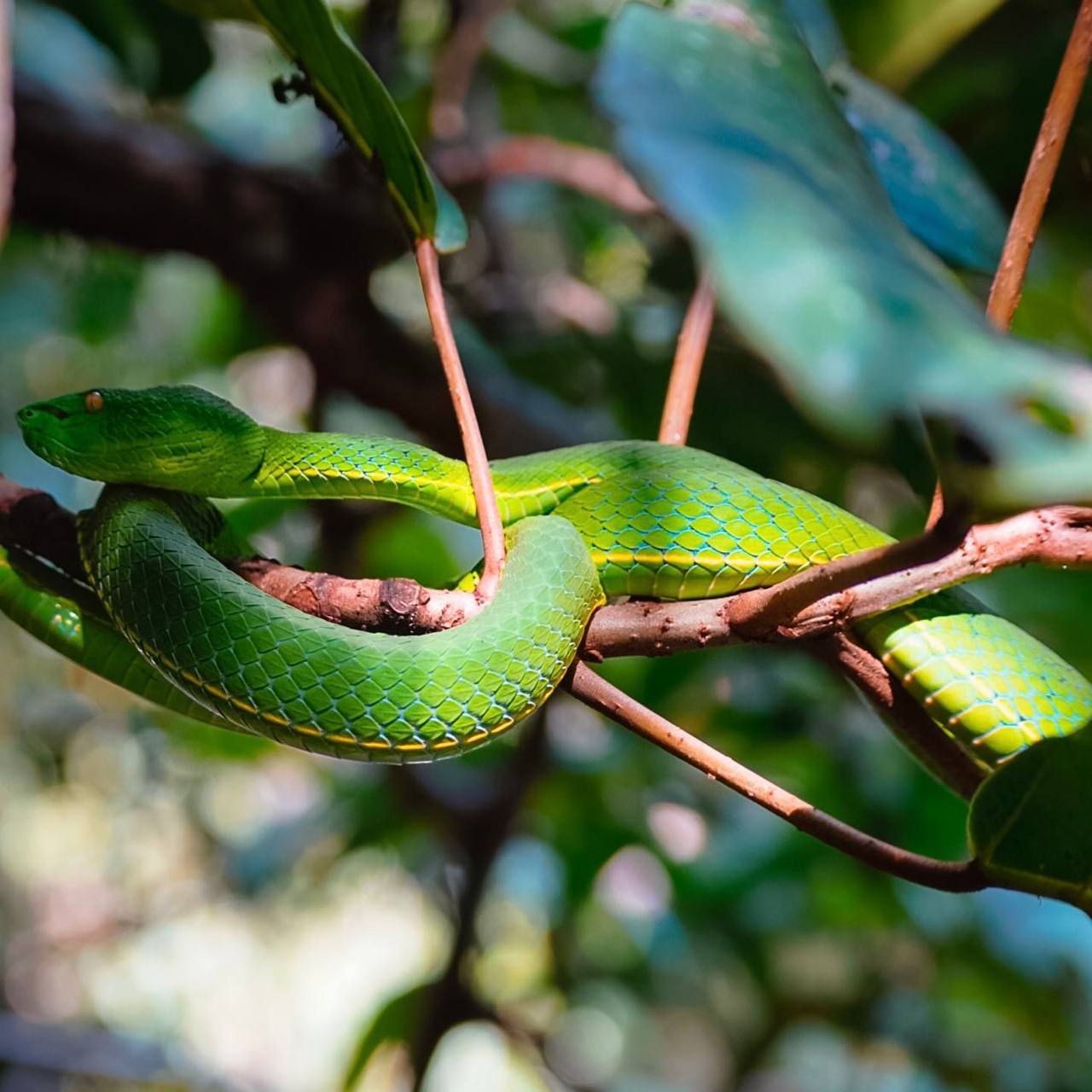Путешествие в национальный парк Кхао Яй