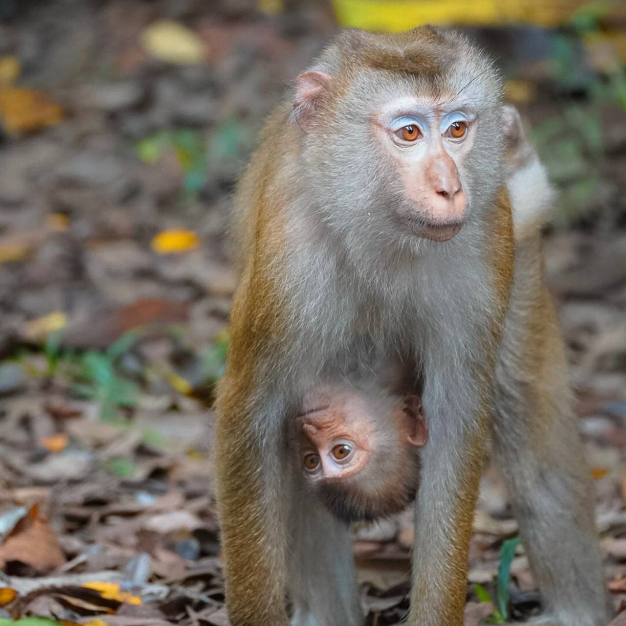 Путешествие в национальный парк Кхао Яй