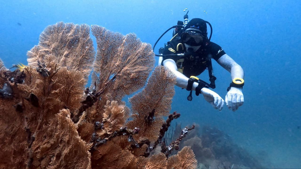 Аренда и туры на водном транспорте