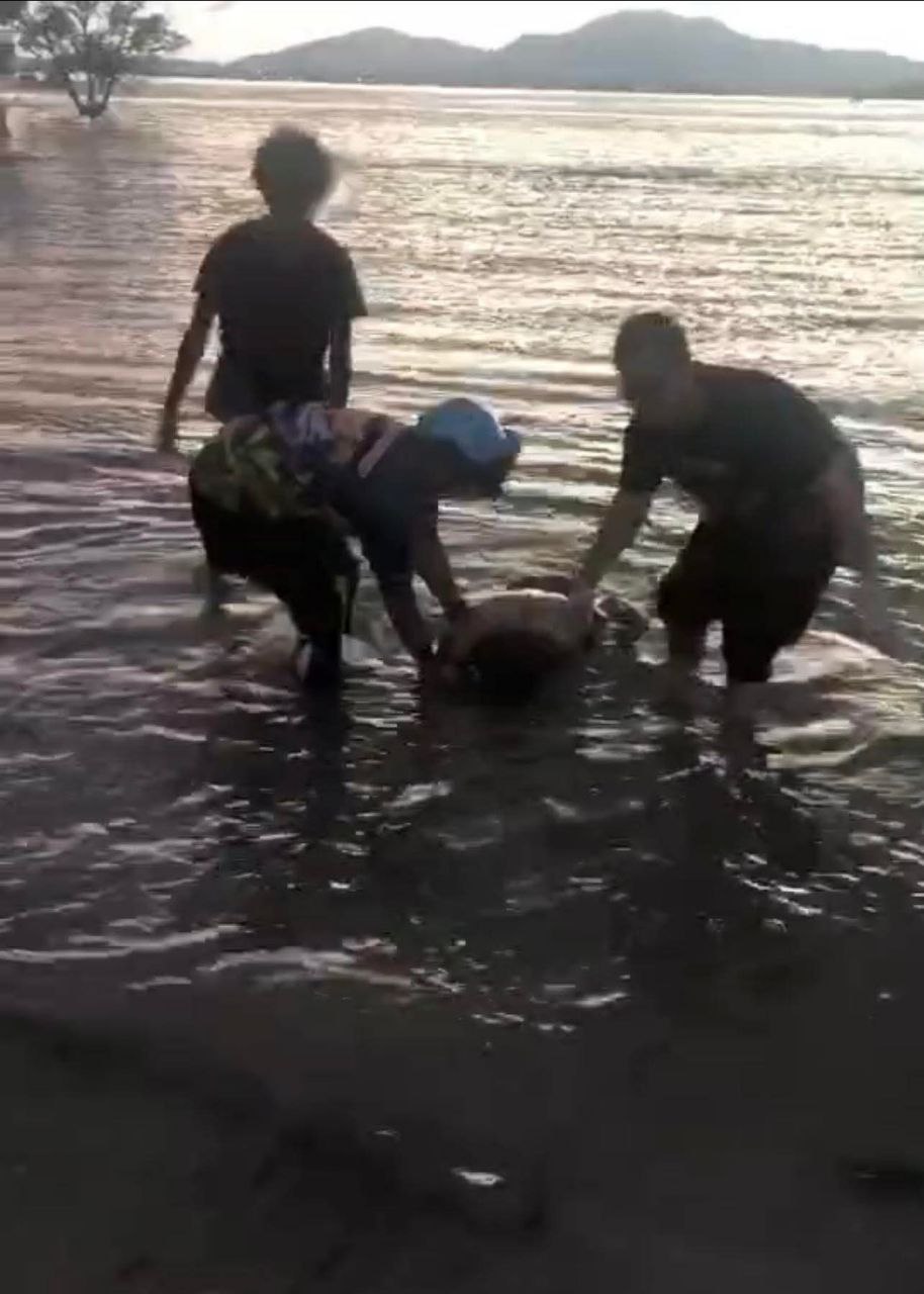 Трагический инцидент на пляже Пхукета