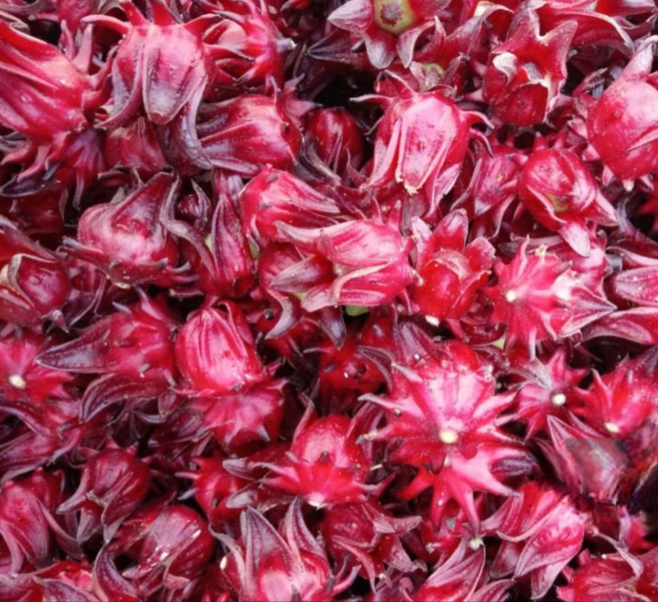 Гибискус в Таиланде: применение и выращивание