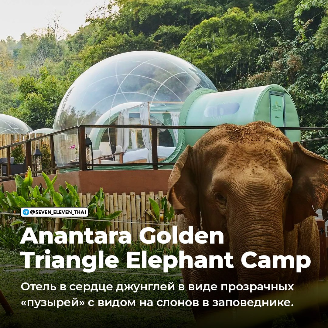 Необычные отели Таиланда для отдыха