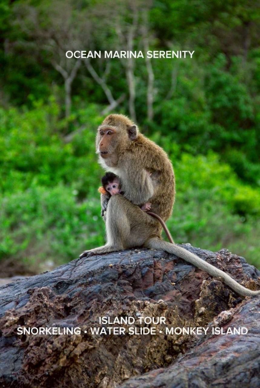 Дневной морской круиз на катамаране