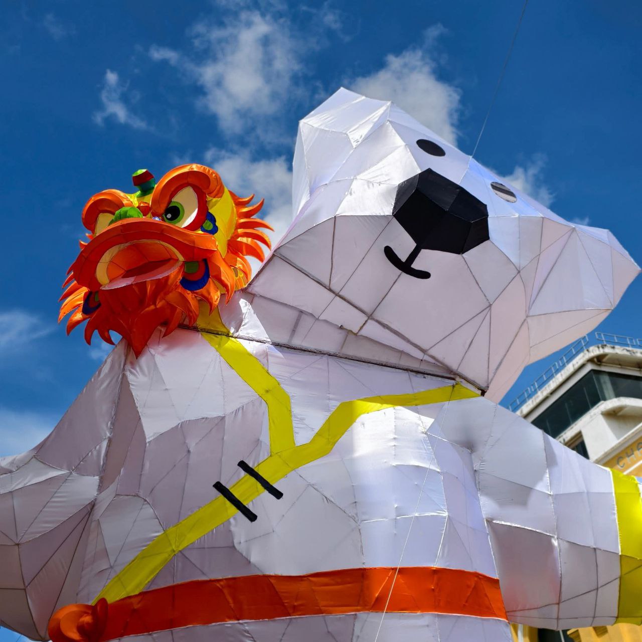 Возвращение медвежонка Нонг-Ми в Пхукет