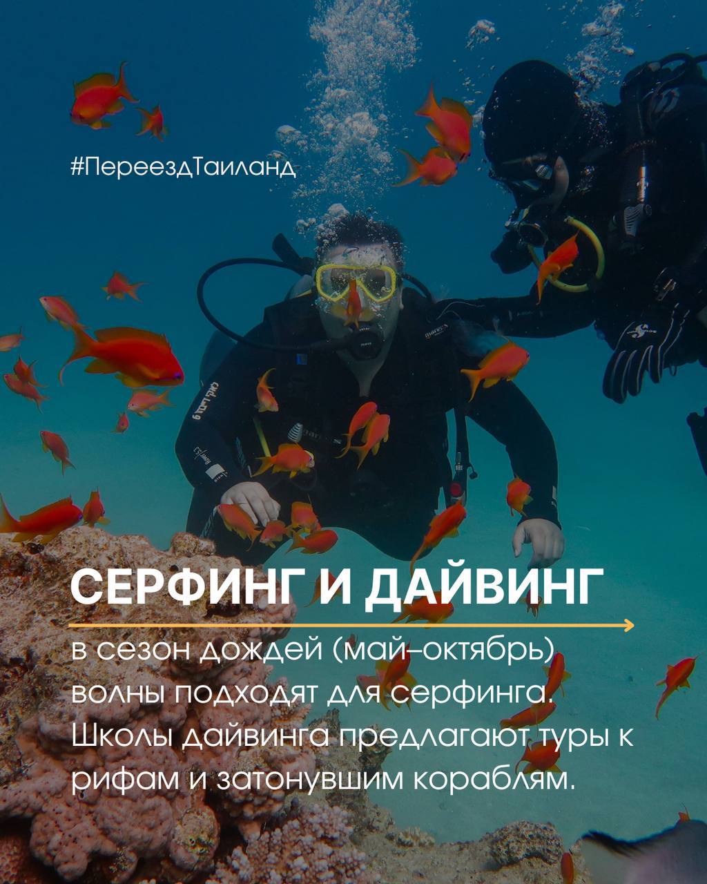 Гид по Камале, Пхукет