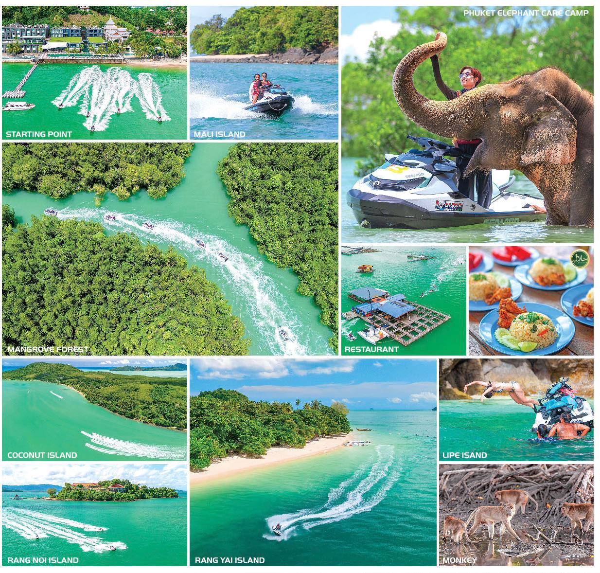 Тур на гидроциклах с посещением слонов