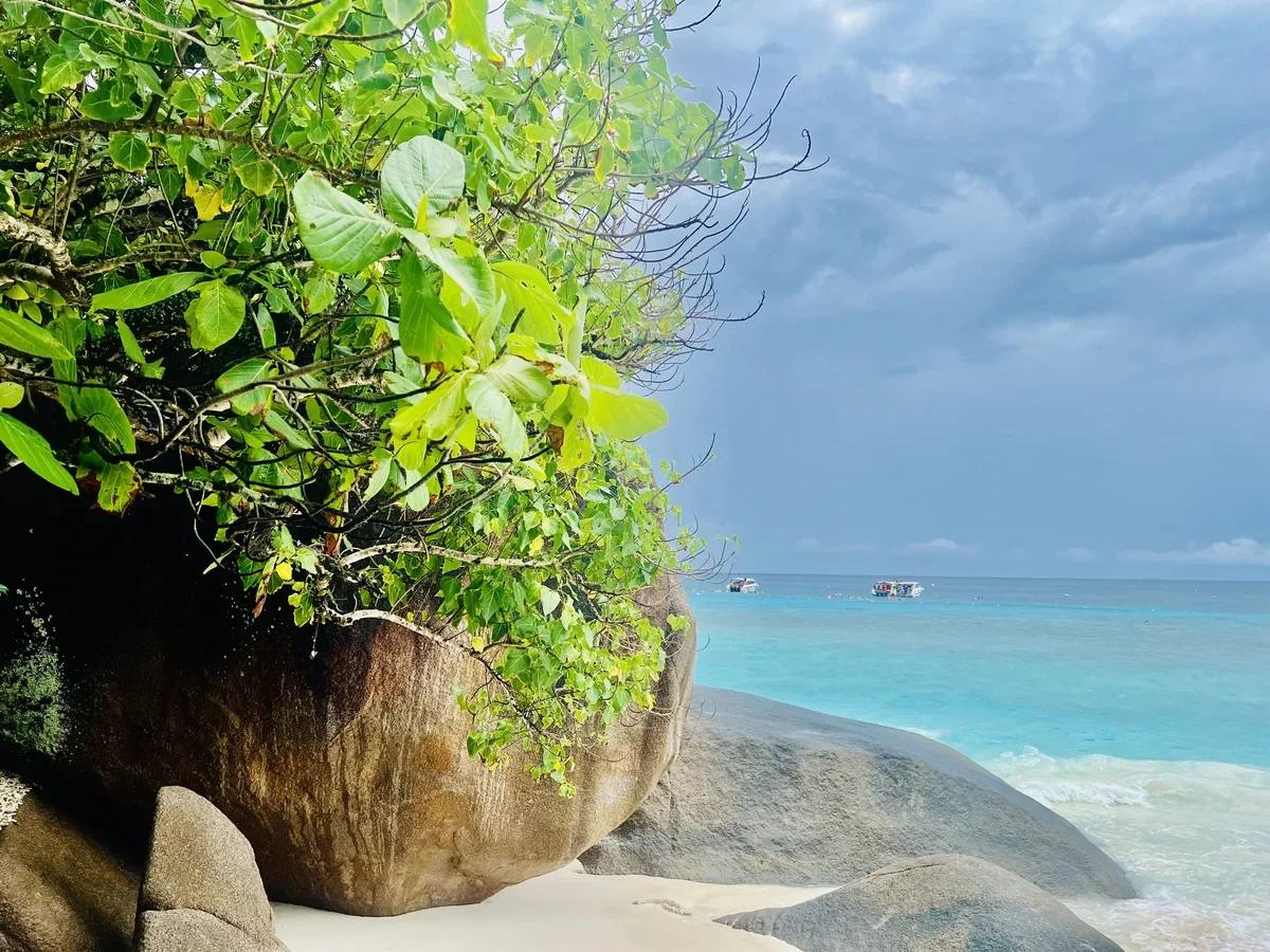 Симиланы открыты для туристов