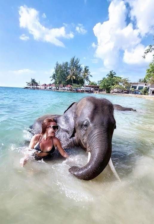 Купание со слонятами в программе