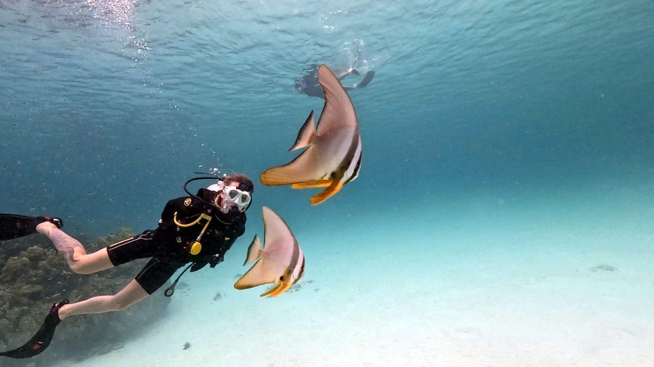 Дайвинг на Пхукете с инструкторами