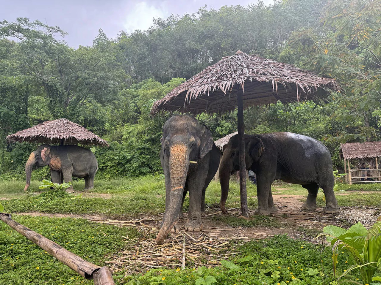 Доска объявлений в Таиланде