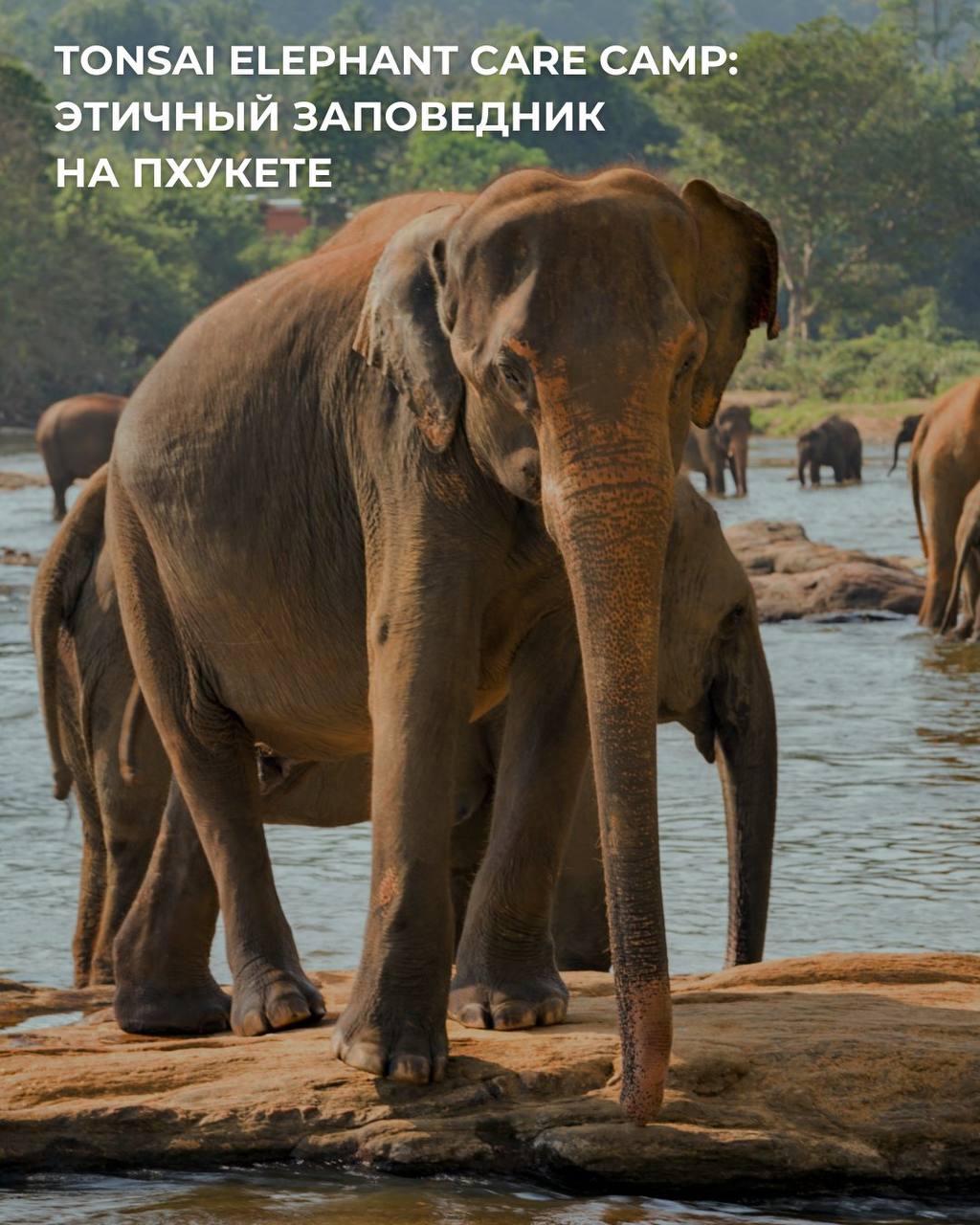 Экскурсия и недвижимость на Пхукете