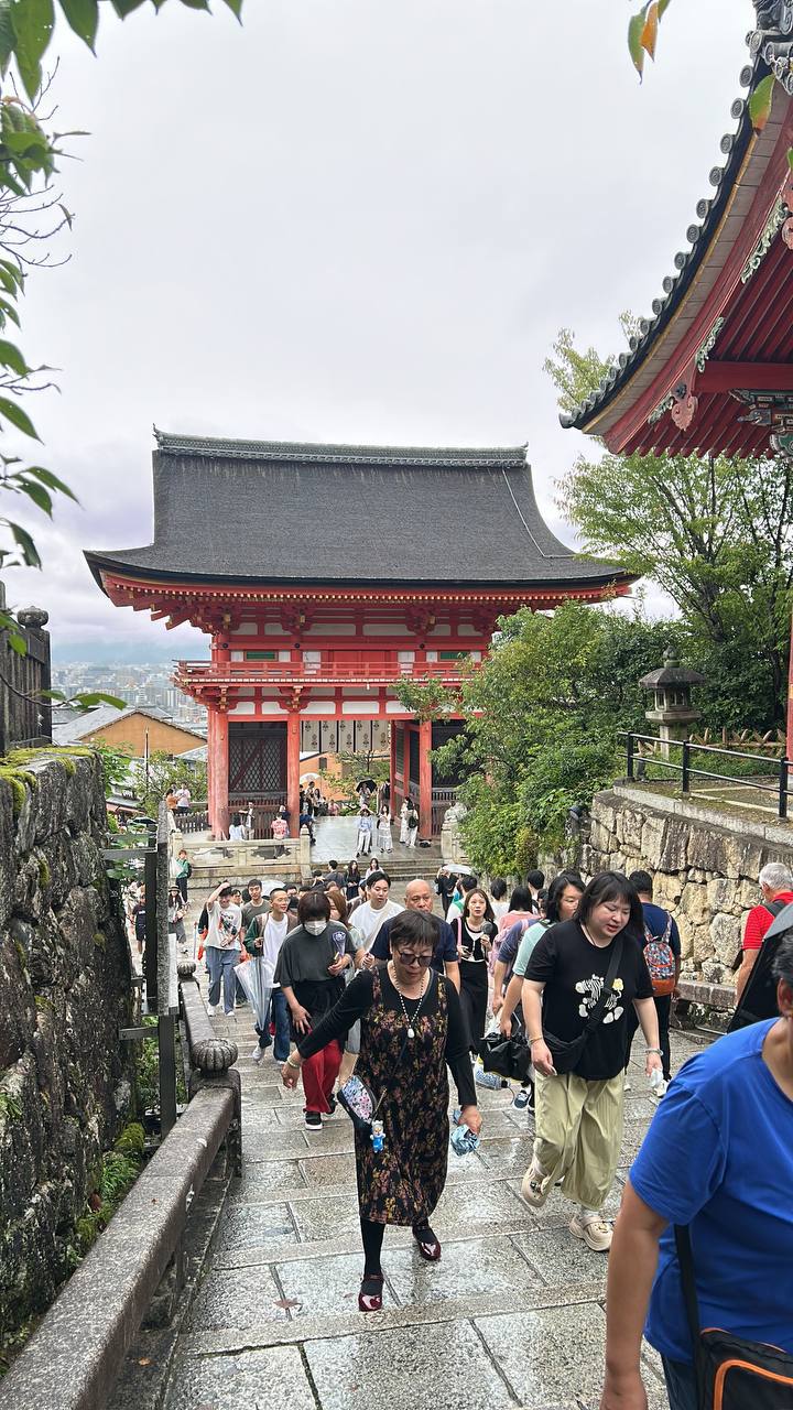 Поездка в Японию: цены и советы