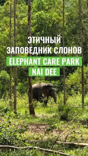 Этичный заповедник слонов в Таиланде
