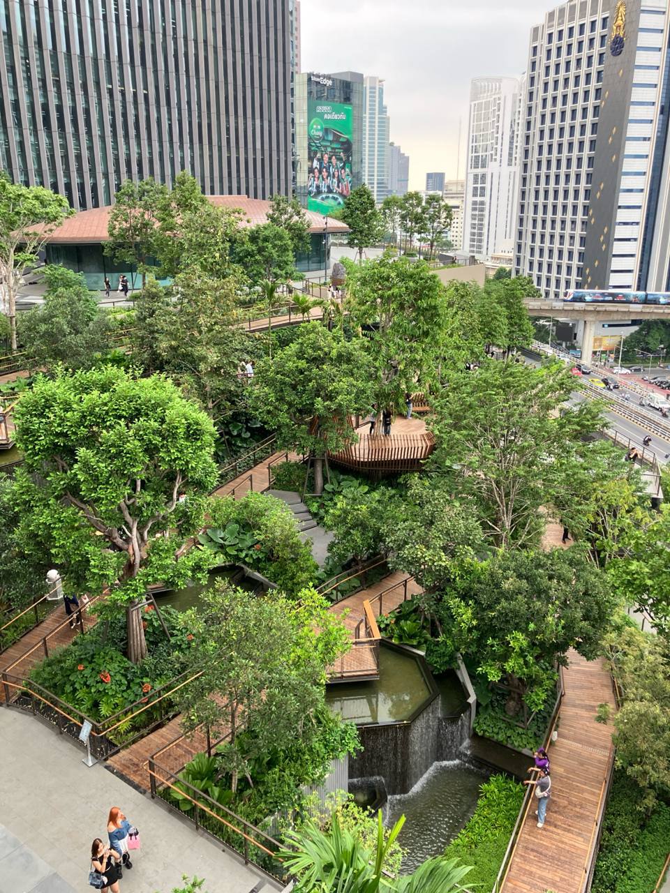 Отдых в Бангкоке и на острове Самуи