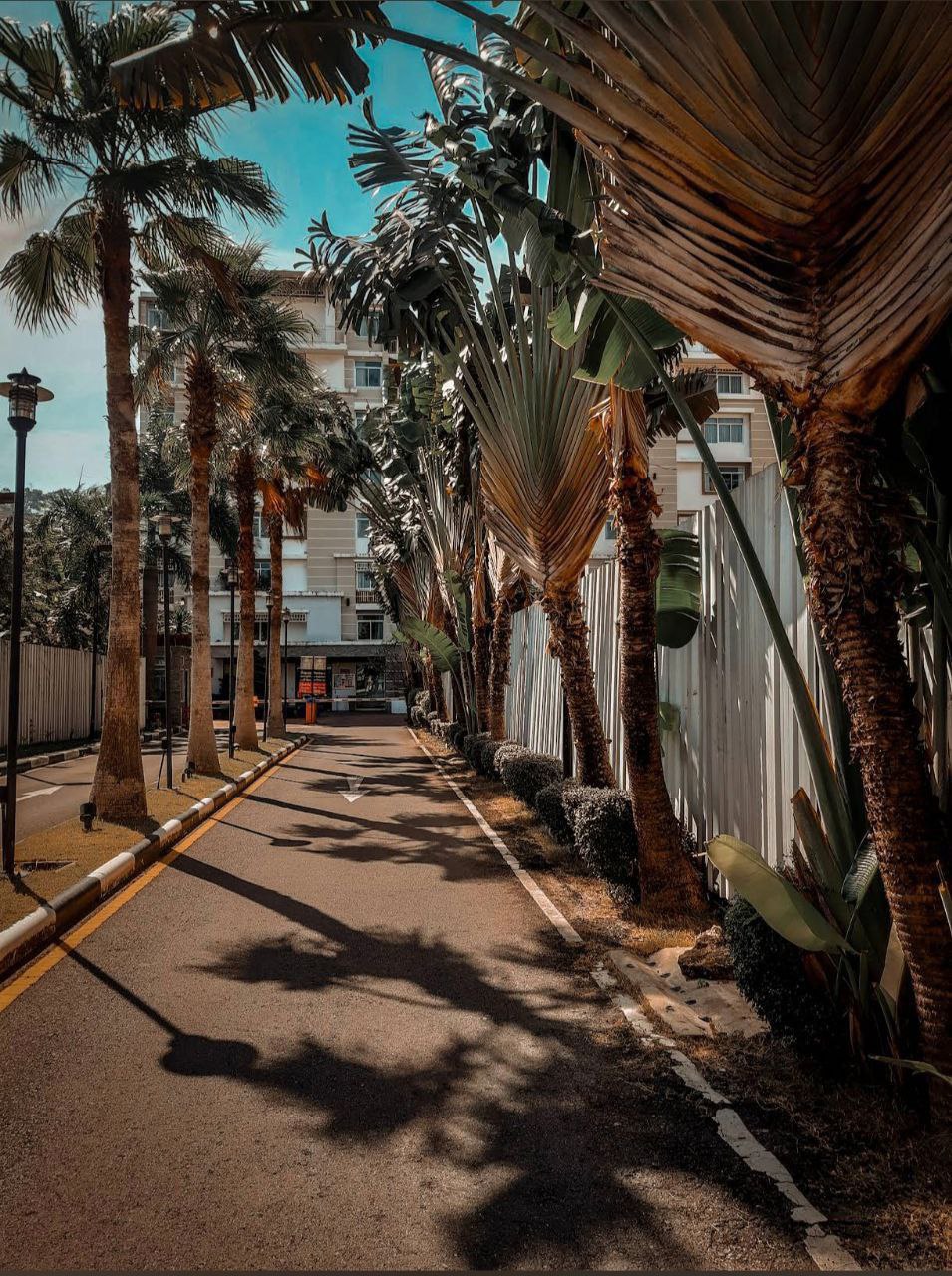 Аренда светлой квартиры в Патонге