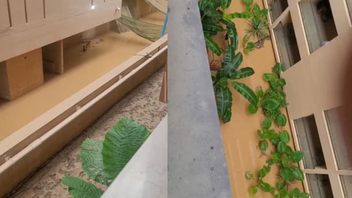 Турист выиграл суд у туроператора