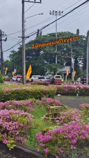 ДТП на Пхукете с мачете