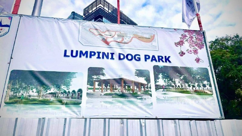 Новый парк для собак в Бангкоке