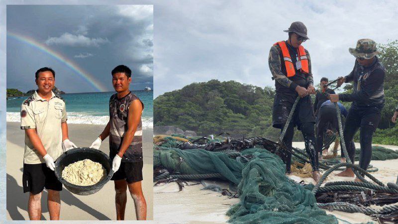 Важные новости с Симиланских островов
