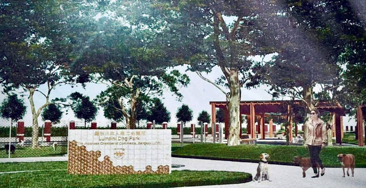 Первый парк для собак в Бангкоке