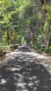 Парк на Тенерифе напоминает Таиланд