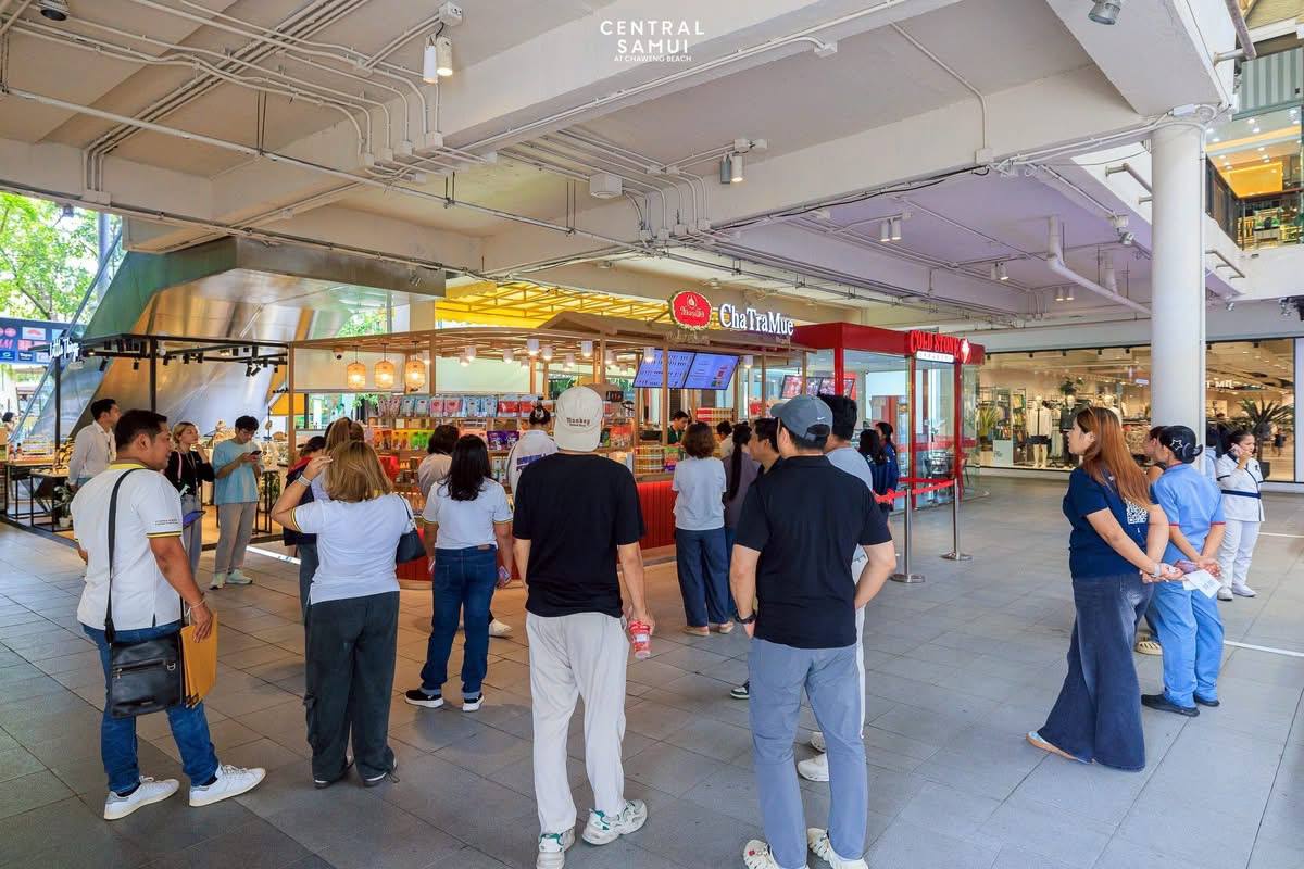 Открытие точки тайского чая