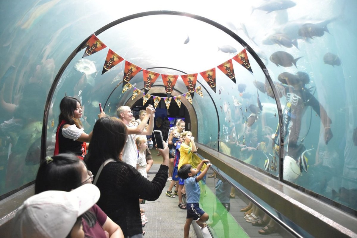 Хеллоуин в пхукетском океанариуме