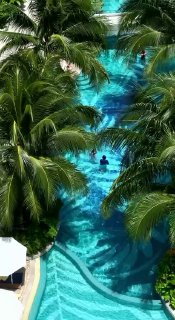 Аренда апартаментов в премиум-комплексе