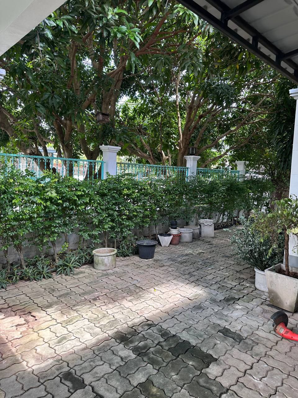 Аренда дома с большой территорией