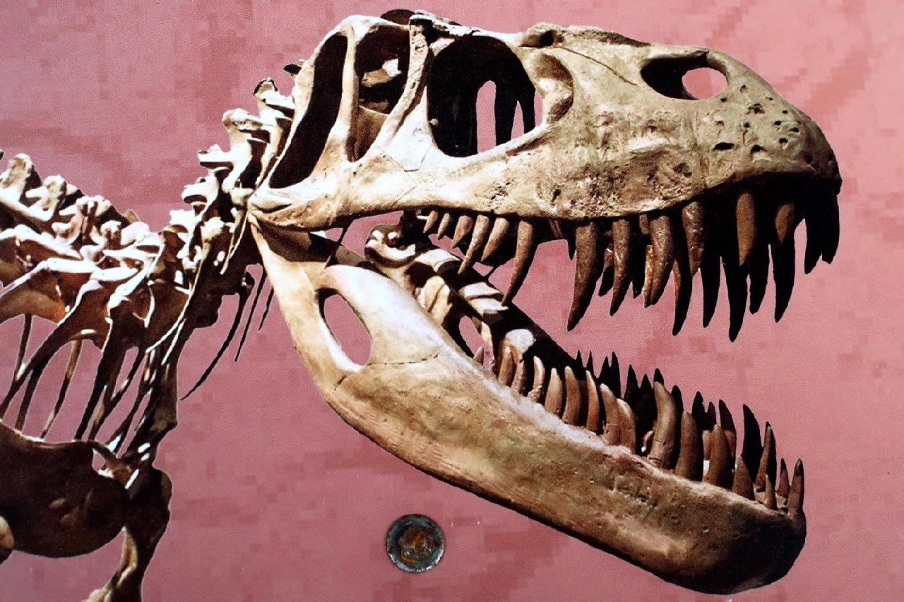 Путешествие в парк Пху Вян