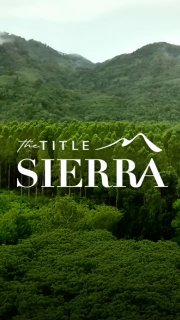 Покупка и инвестиции в недвижимость