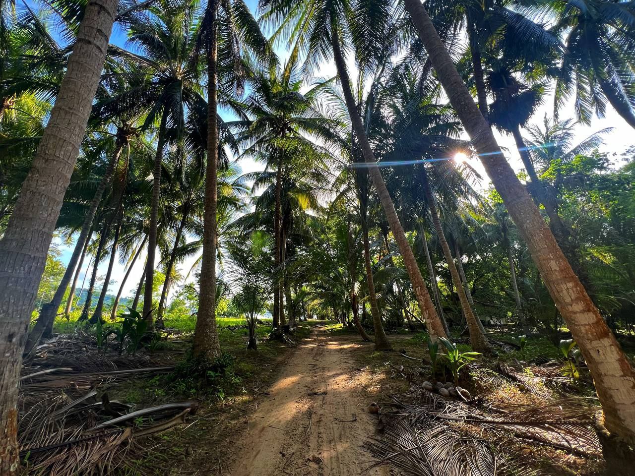 Доска объявлений в Таиланде