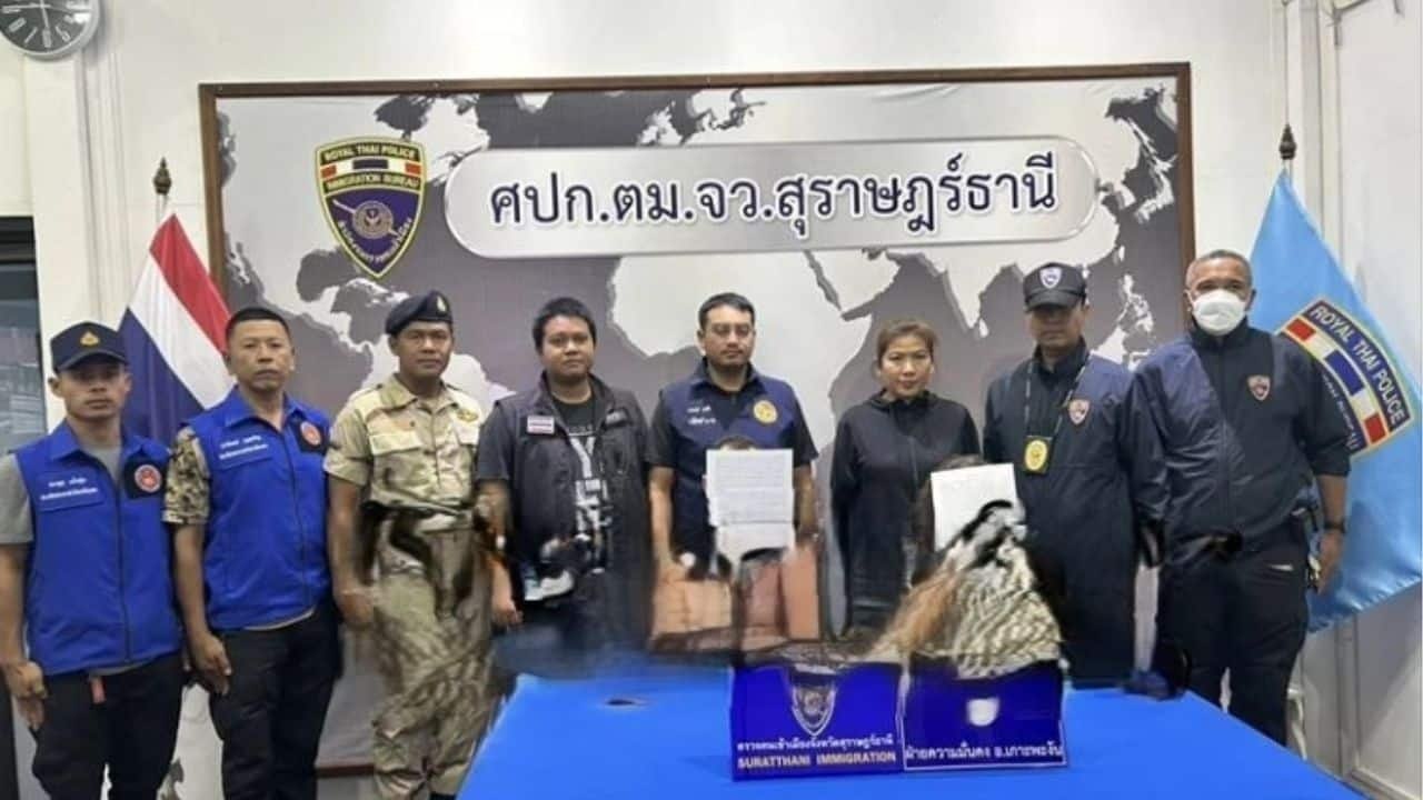 Скандал на Пангане: суд над парой из Израиля