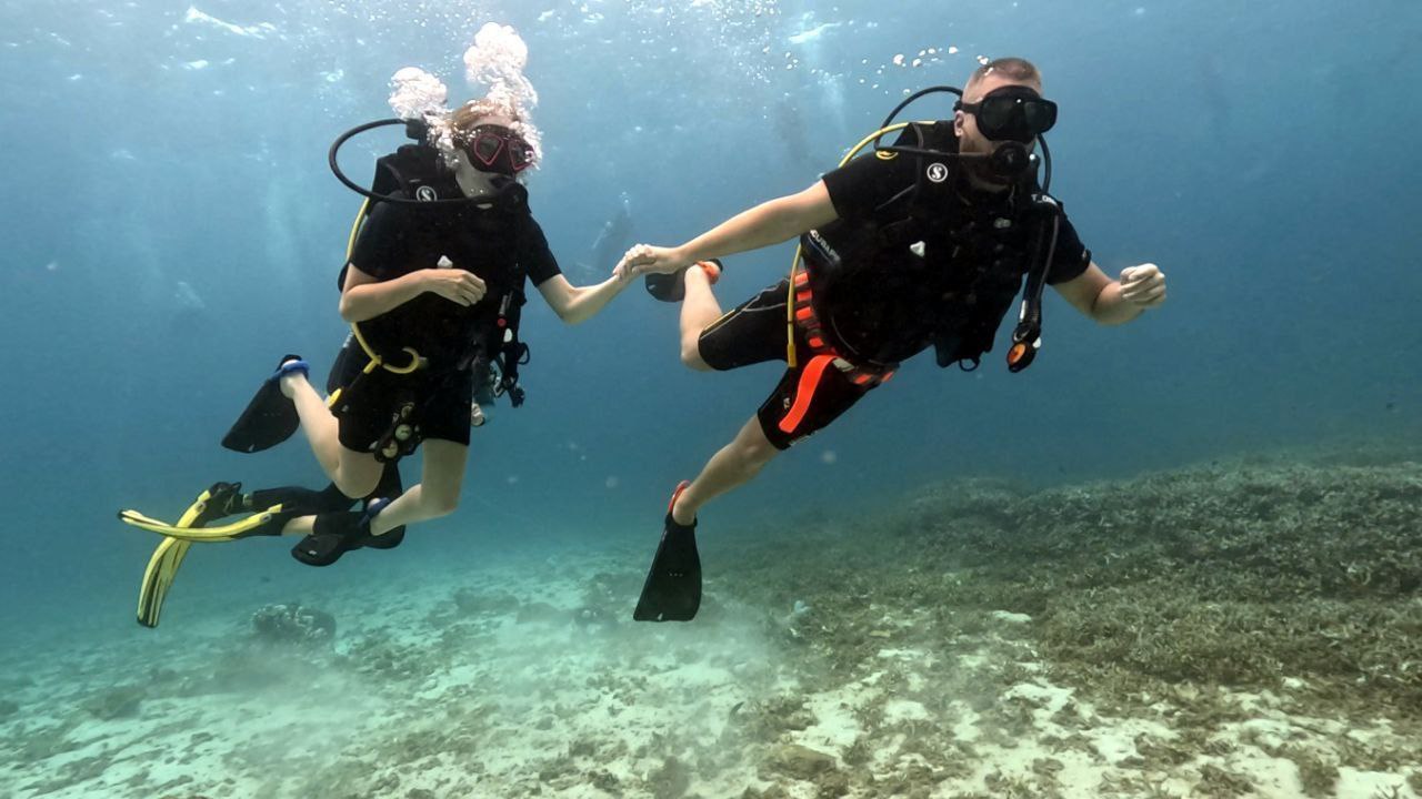 Морские туры и дайвинг