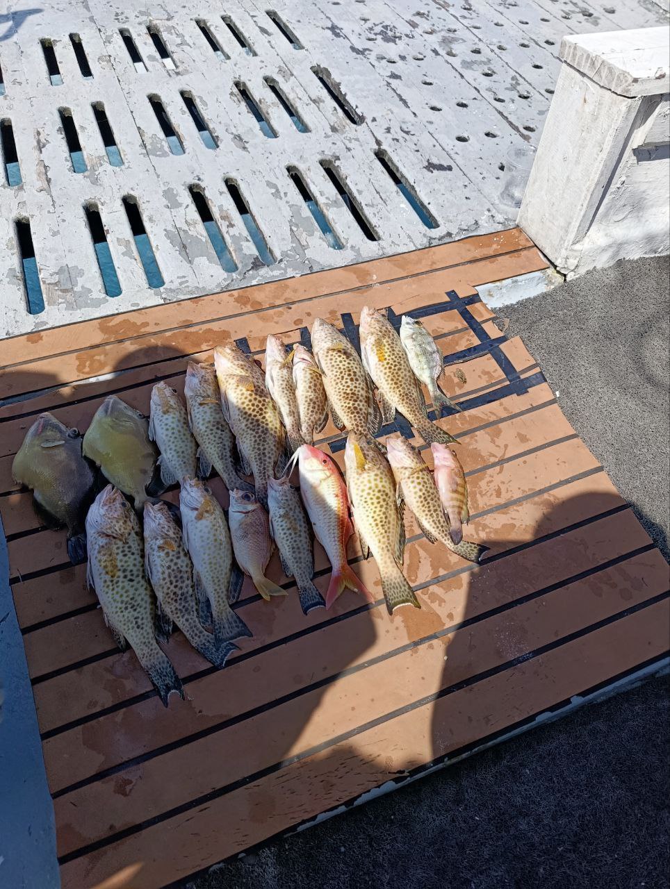 Доска объявлений в Таиланде