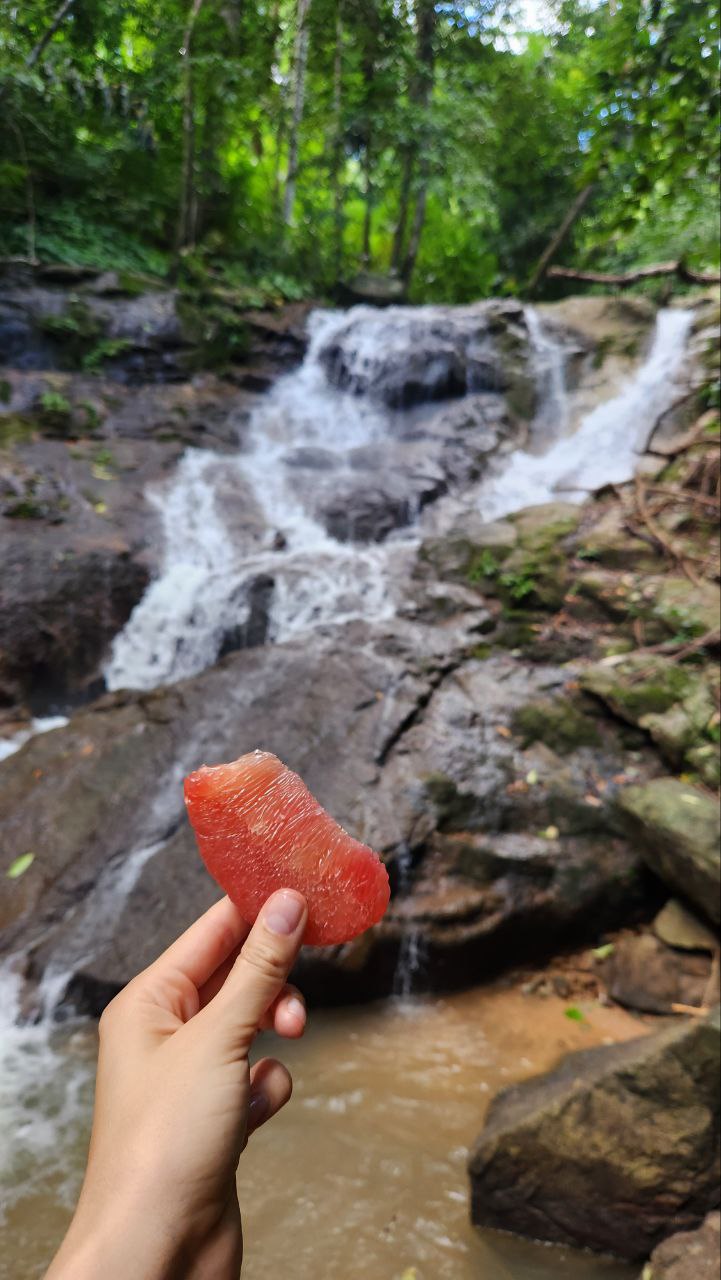 Полезность самоходника в путешествии