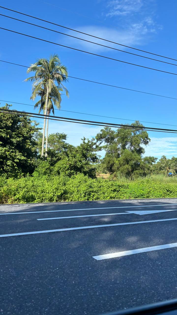 Размышления о жизни в Таиланде