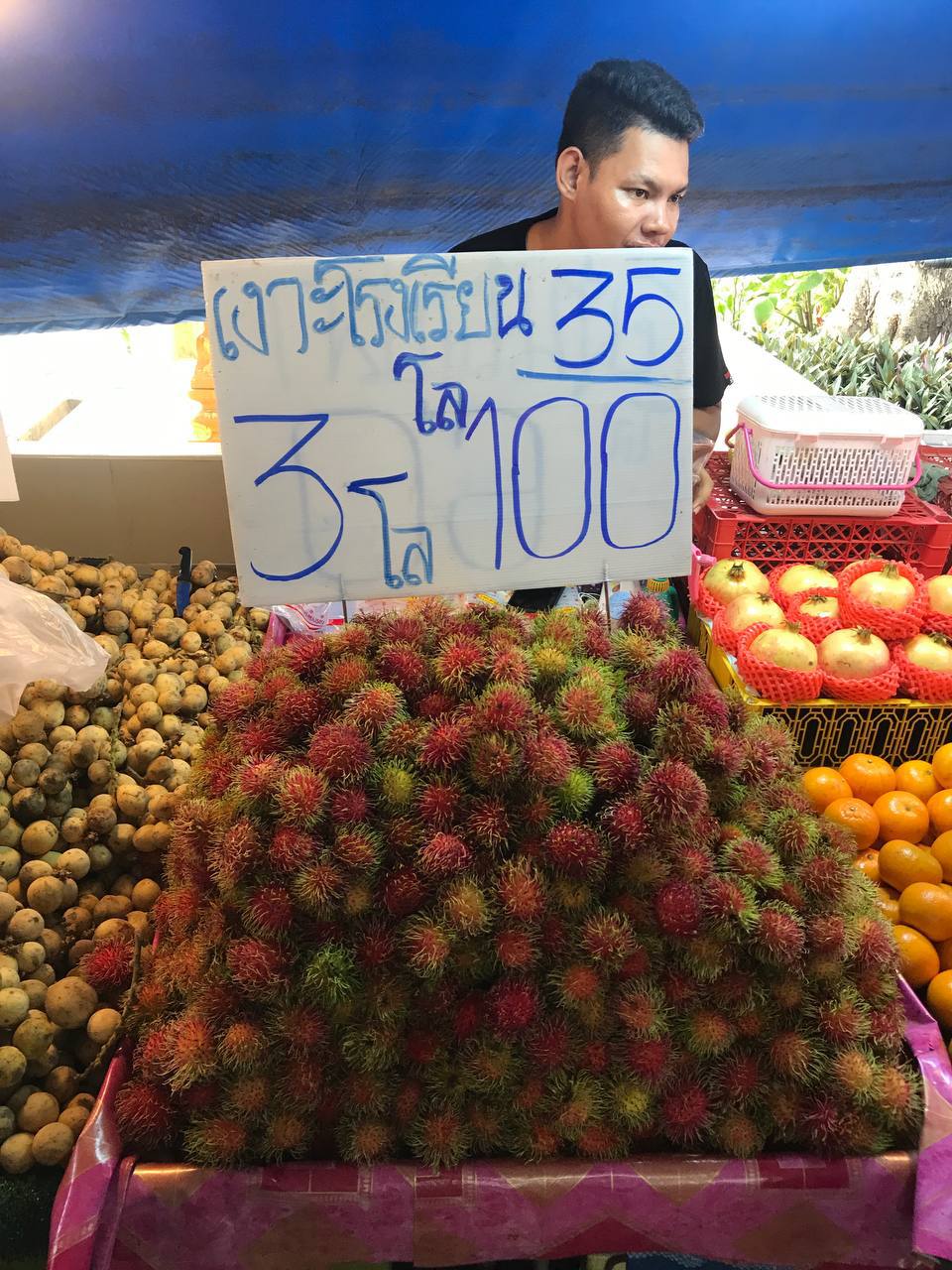 Размышления о жизни в Таиланде