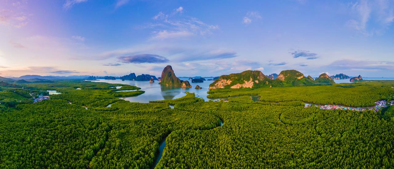 Экскурсия «Мир Аватара» на целый день