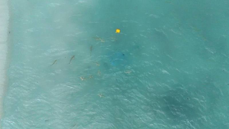 Экскурсия на катамаране по пхи-пхи