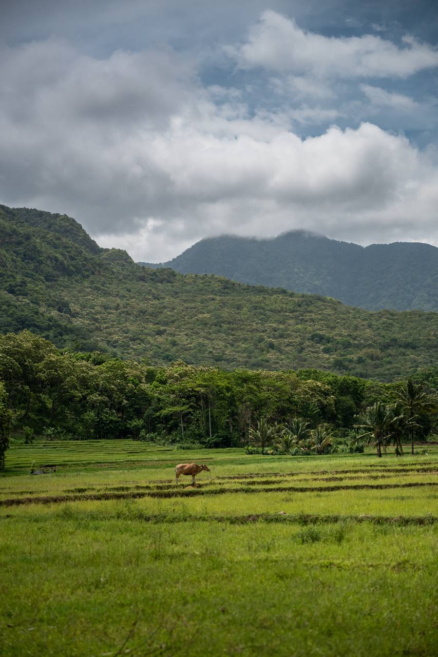 Путешествие по острову Флорес