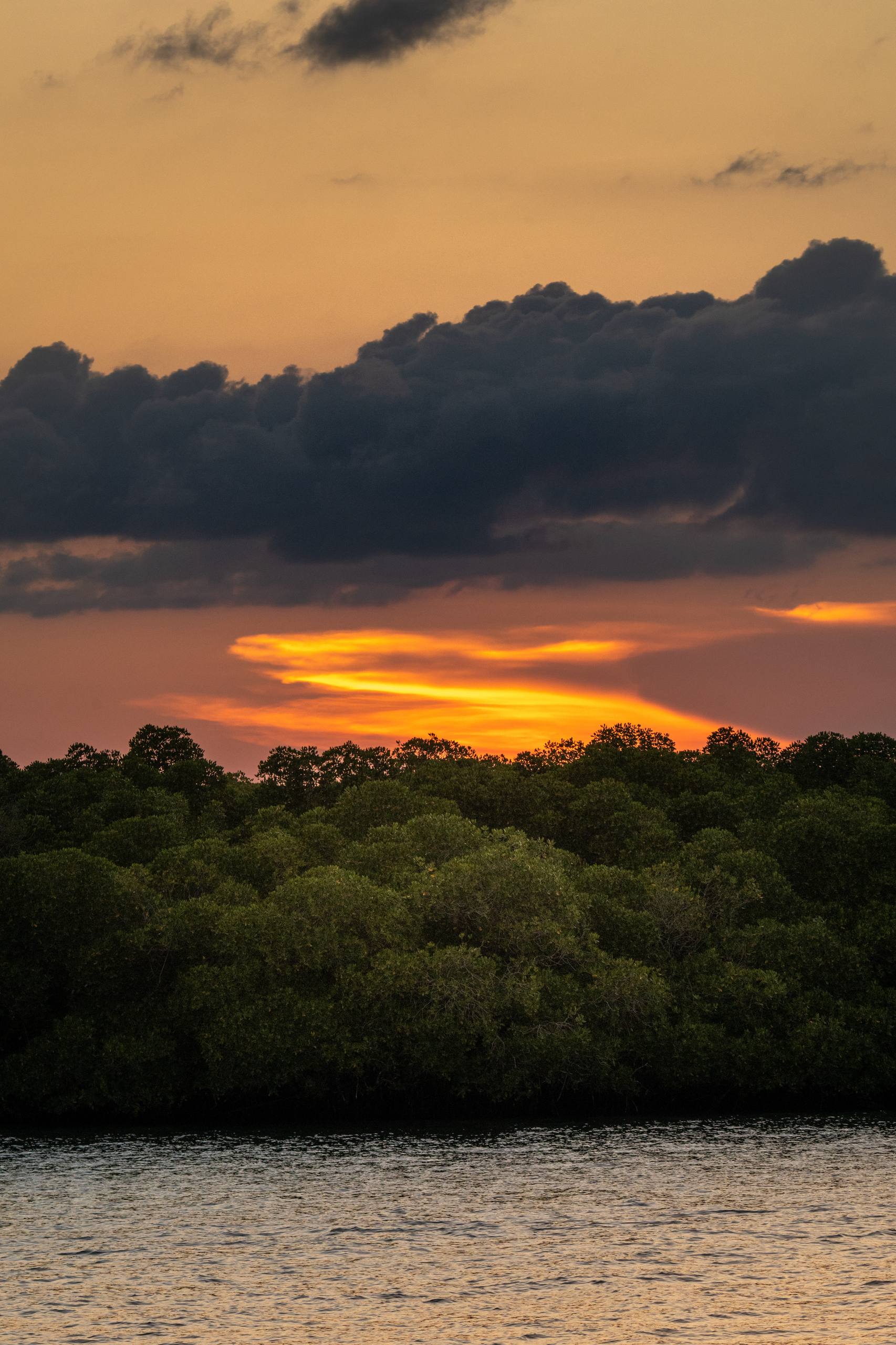 Насыщенный отпуск на острове Флорес