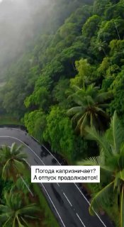 Экстремальный отдых на квадроциклах